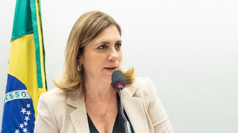 Deputada Rosana Valle