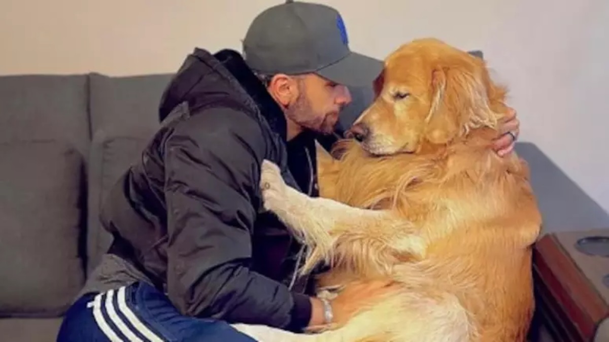 Recém-aprovada Lei Joca, ainda está pendente de discussão e aprovação pelo Senado