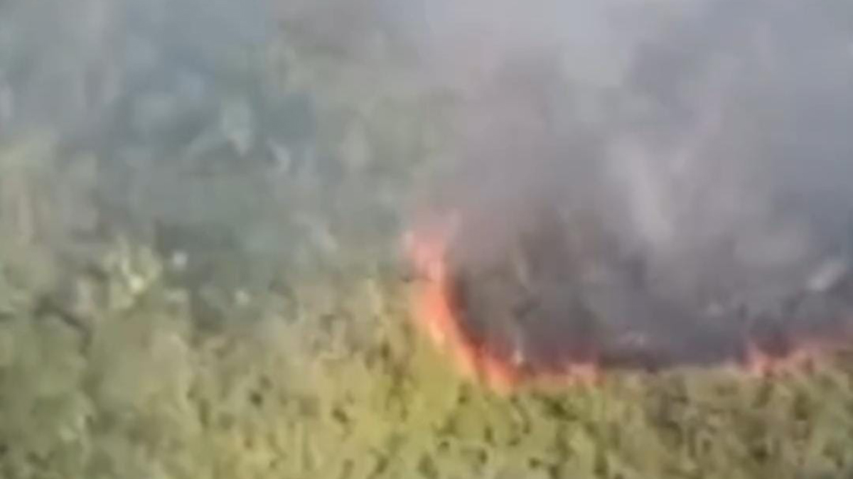 O fogo foi extinto pelas equipes por volta das 16h15