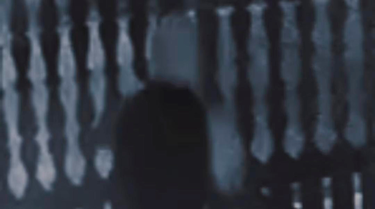 Segundo relato de moradores o mesmo indivíduo já havia furtado esta área anteriormente