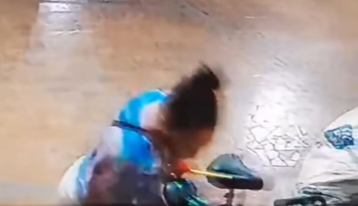 Ela conseguiu acessar o portão da garagem de um prédio localizado na Prefeito José Monteiro