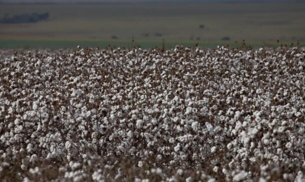 Foto: Agência Brasil