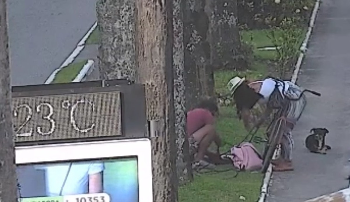 Casal foi flagrado arrancando fiação no canteiro central da Avenida Ana Costa