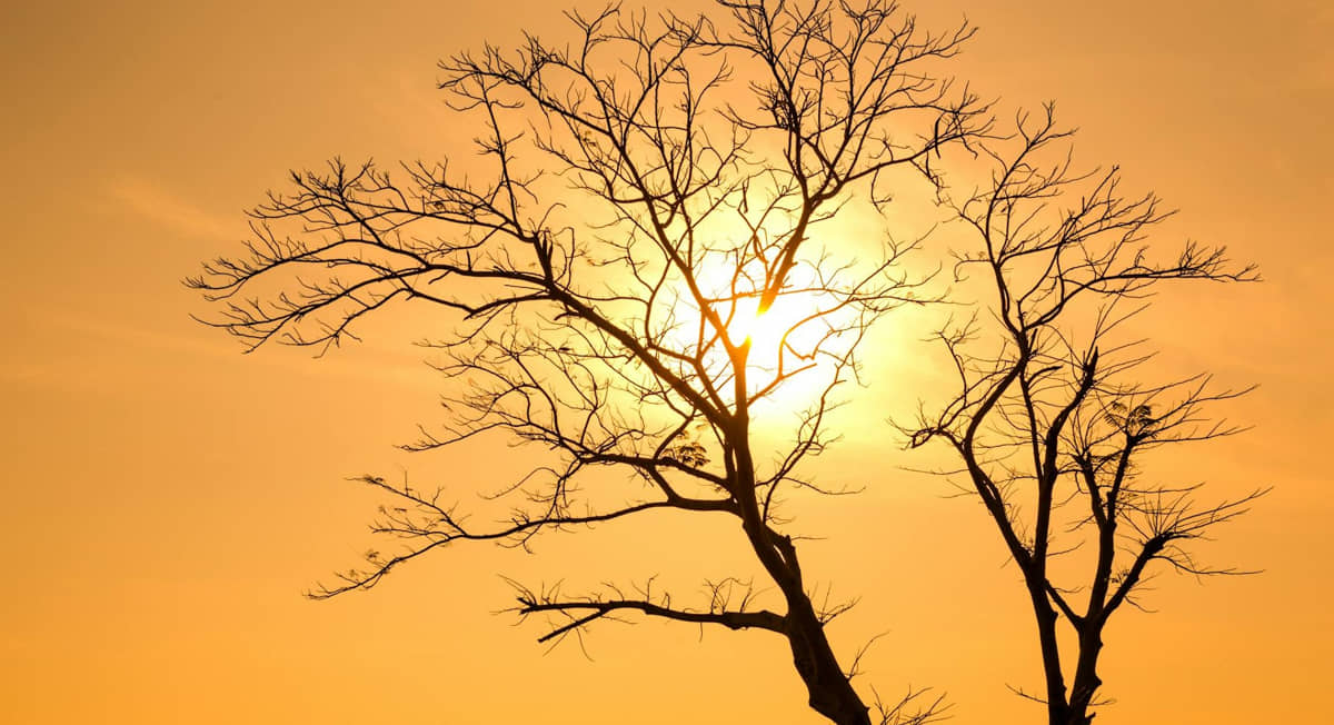 1&ordm; fim de semana do inverno será de muito calor, mas segunda o tempo muda no litoral de SP