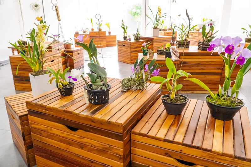 Iniciativa faz parte do movimento EcoSol e é uma realização da Prefeitura, SESC Bertioga e Fórum de Economia Solidária da Baixada Santista (FESBS)