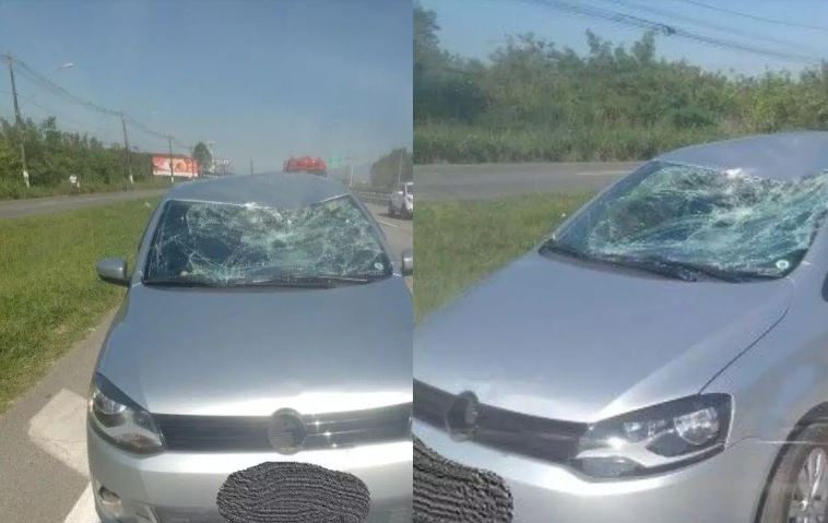 Homem é atropelado em rodovia