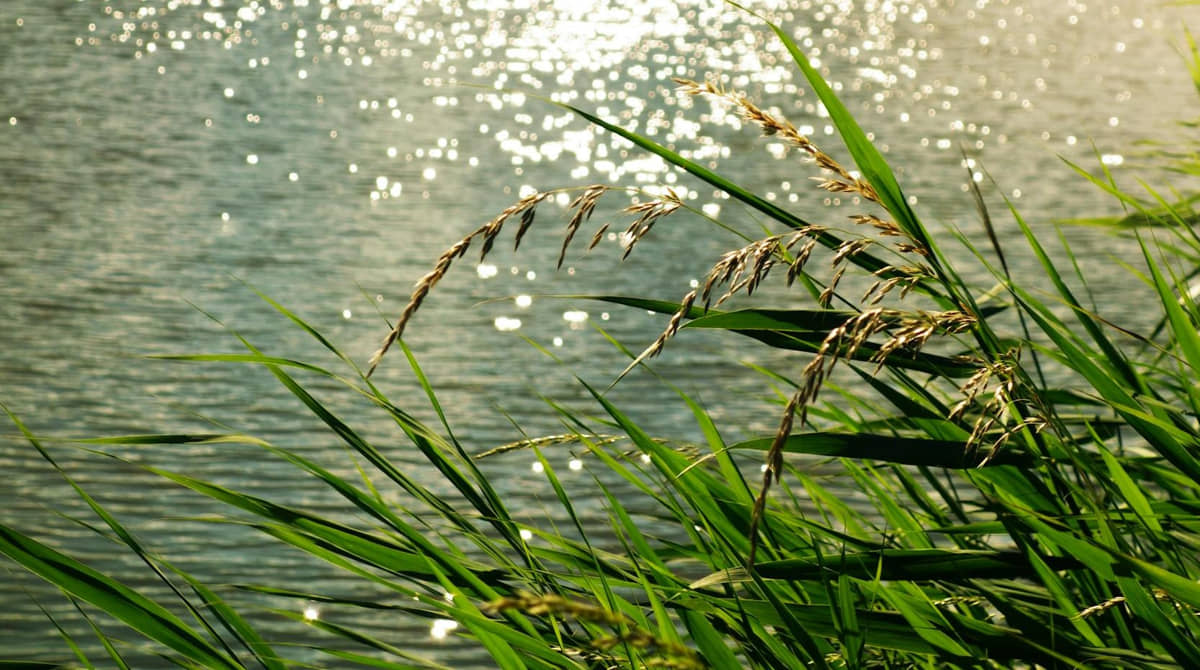 *Foto meramente ilustrativa