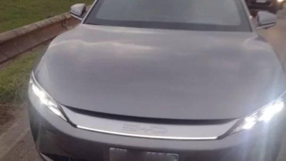 Equipes da Polícia Militar e da Ecovias foram até o local para lidar com a situação