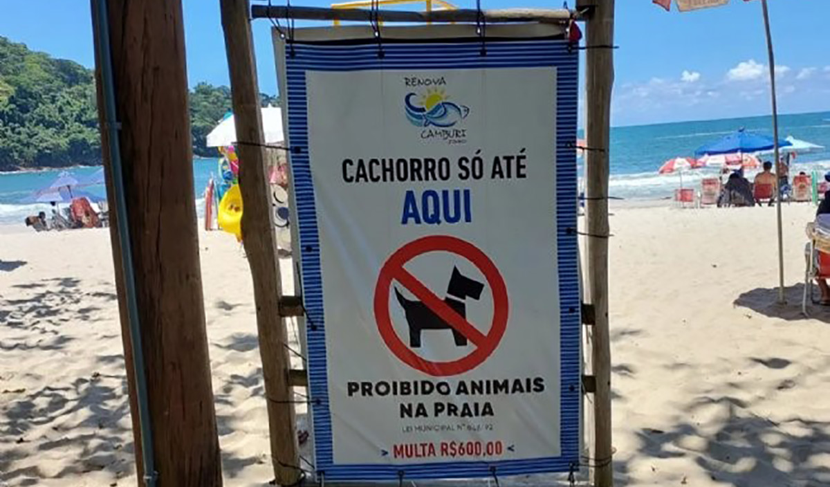 Em São Sebastião, há uma lei municipal que prevê multa de R$ 2 mil e permite até mesmo a apreensão dos pets