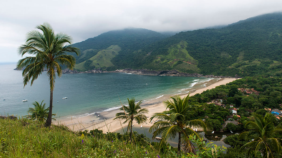 Pelo menos 295 políticos eleitos serão diretamente beneficiados pela PEC