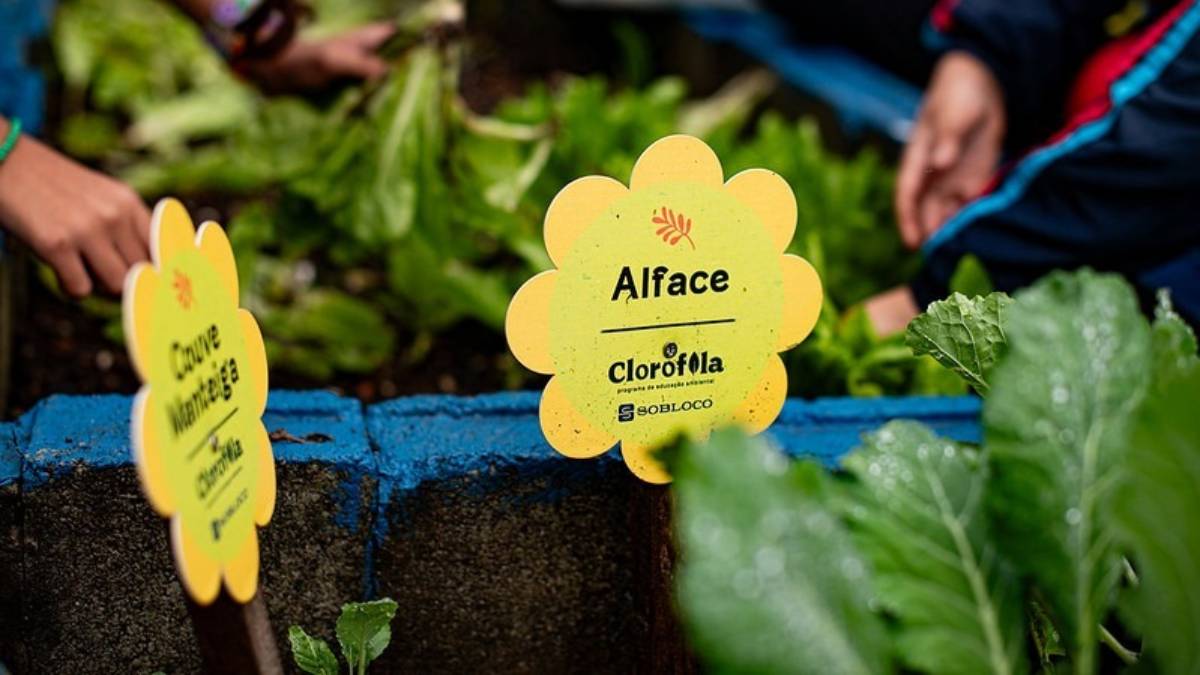 Foram 39 atividades alusivas à Semana do Meio Ambiente