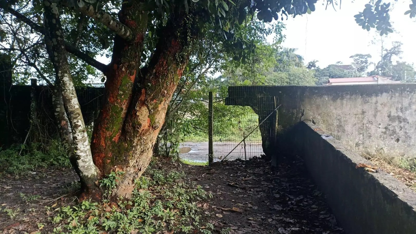 Roubo aconteceu durante o feriado da última terça-feira (9)
