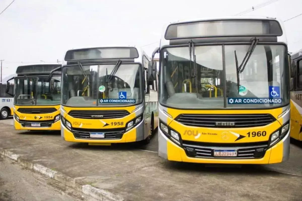 Os novos ônibus serão padronizados, reforçando a identidade visual