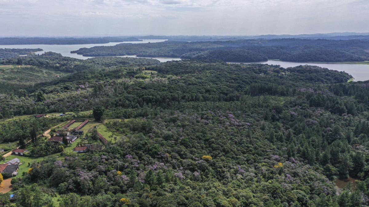 O DER admitiu que voltou a avaliar a viabilidade técnica e econômica da Rodovia Parelheiros-Itanhaém