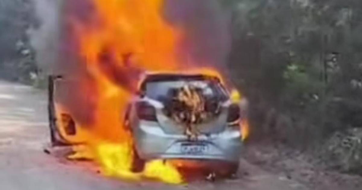 Corpo de Bombeiros foi chamado para lidar com a ocorrência