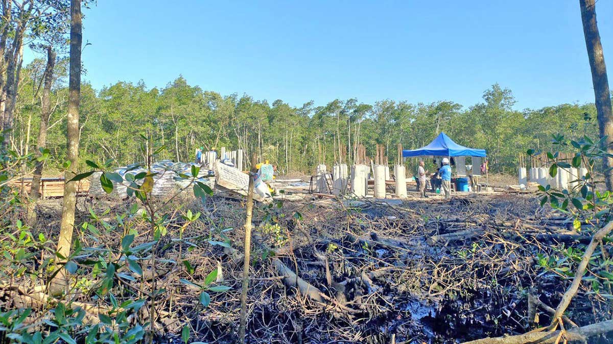O sítio arqueológico que guarda segredos de povos ancestrais fica na Ilha de Santo Amaro