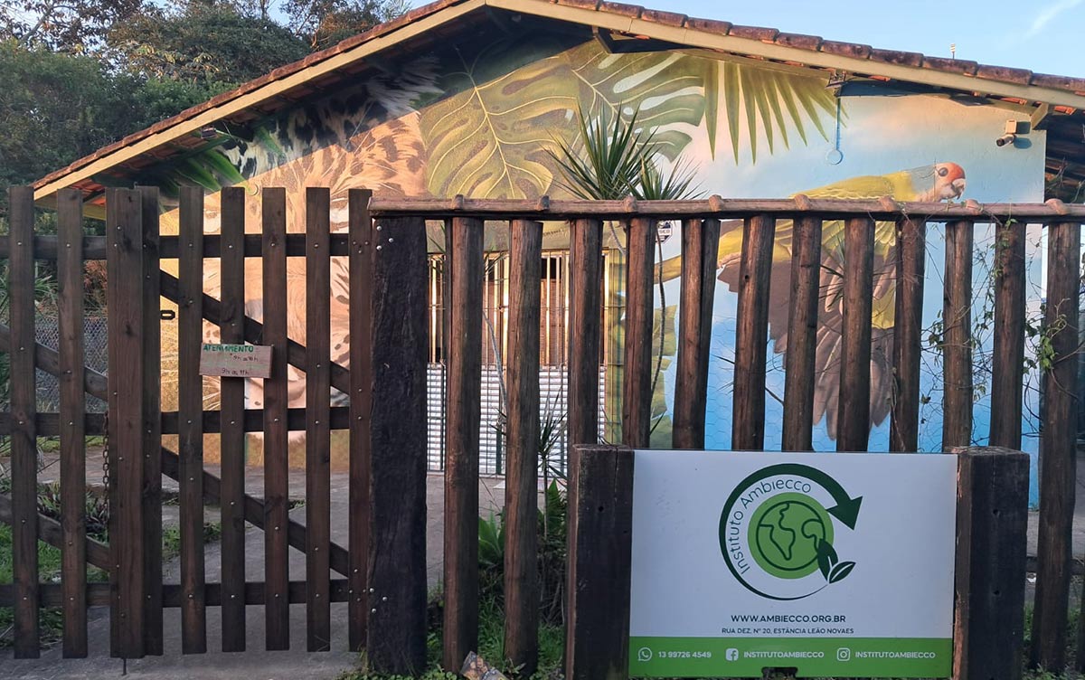 No CETAS, os animais resgatados são submetidos a exames clínicos para diagnóstico e definição do tipo de tratamento