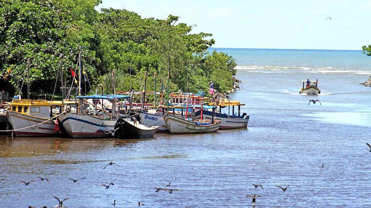 As amostras deram positivas para Cananéia, Peruíbe, Praia Grande, no litoral sul, e em São Sebastião, no litoral norte