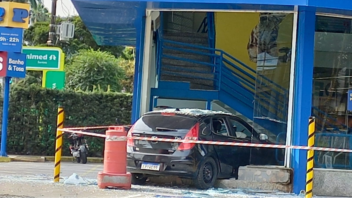 Carro invadiou loja de pets do Gonzaga