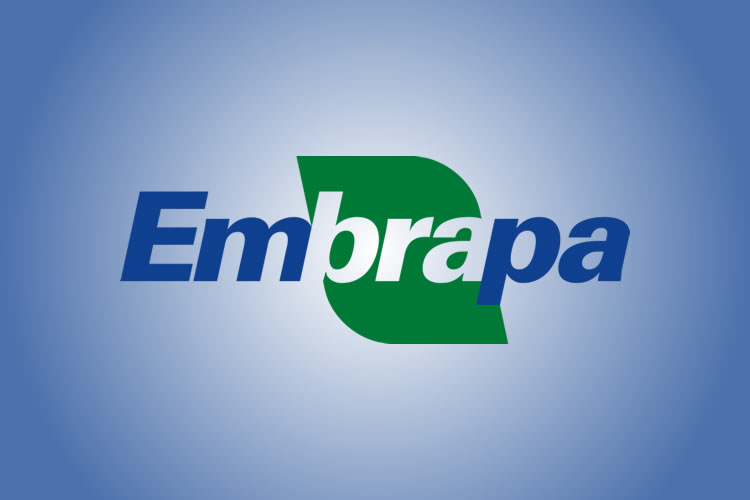 Expectativa é que o edital para o próximo concurso seja lançado em breve