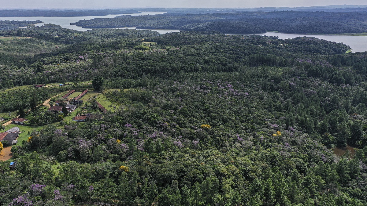 O trajeto teria apenas 15 quilômetros e reduziria pela metade o tempo de viagem entre a Capital, o Litoral Sul e as cidades de Pedro de Toledo e Itariri, já no Vale do Ribeira