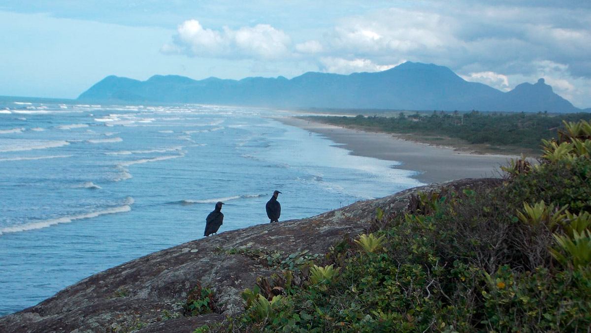 A mudança no curso do rio está acompanhada do aumento do nível do mar no local