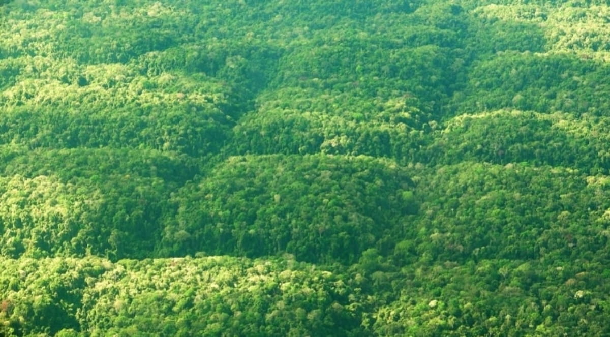 Vale lembrar que a ideia da civilização perdida é tratada como teoria da conspiração pela comunidade científica.