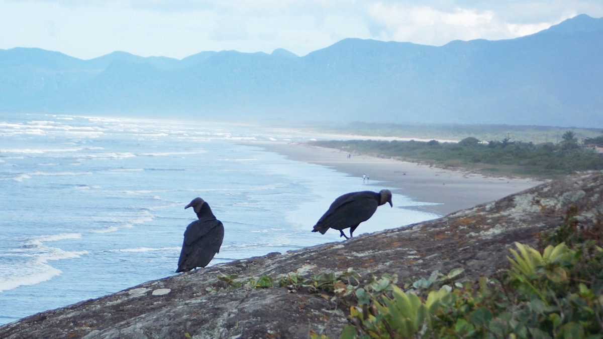 A Barra do Una do Sul possui uma vila de pescadores e é famoso por conta das suas belezas naturais