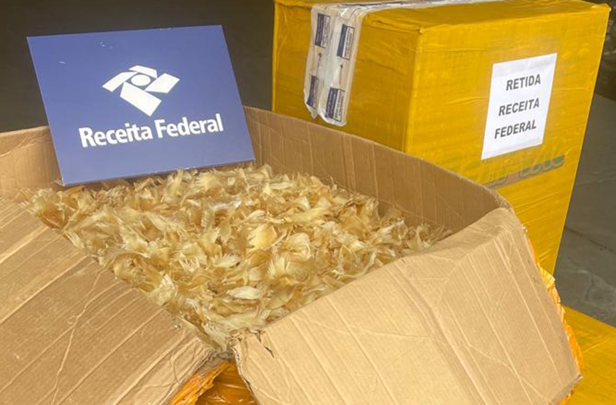 Mercadoria clandestina foi encontrada em transportadora da Capital