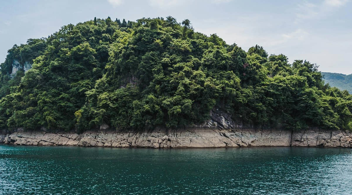 A Ilha da Queimada Grande coloca medo em qualquer um/Foto apenas ilustrativa