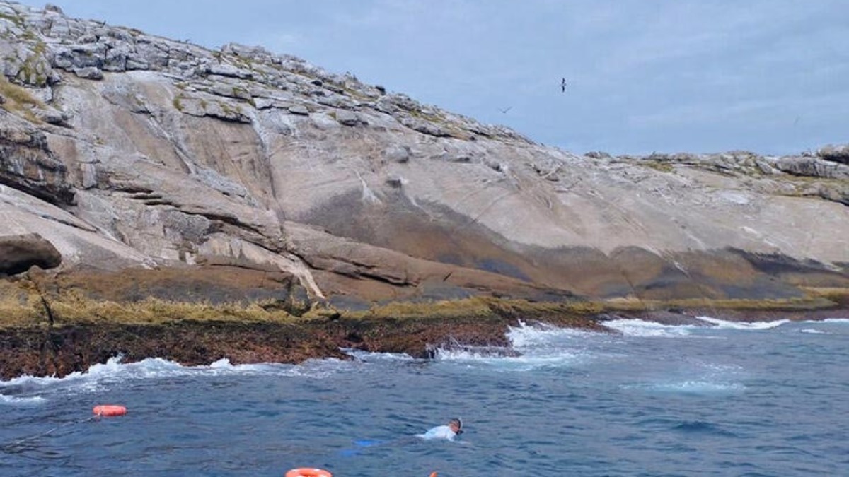 A Laje de Santos é um verdadeiro gigante subaquático, oferecendo um espetáculo visual para os visitantes
