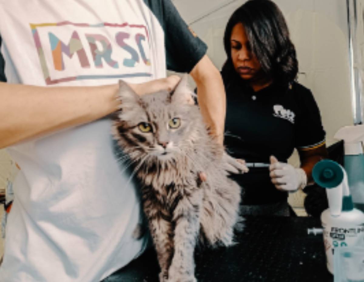 Cerca de 90 famílias estão cadastradas