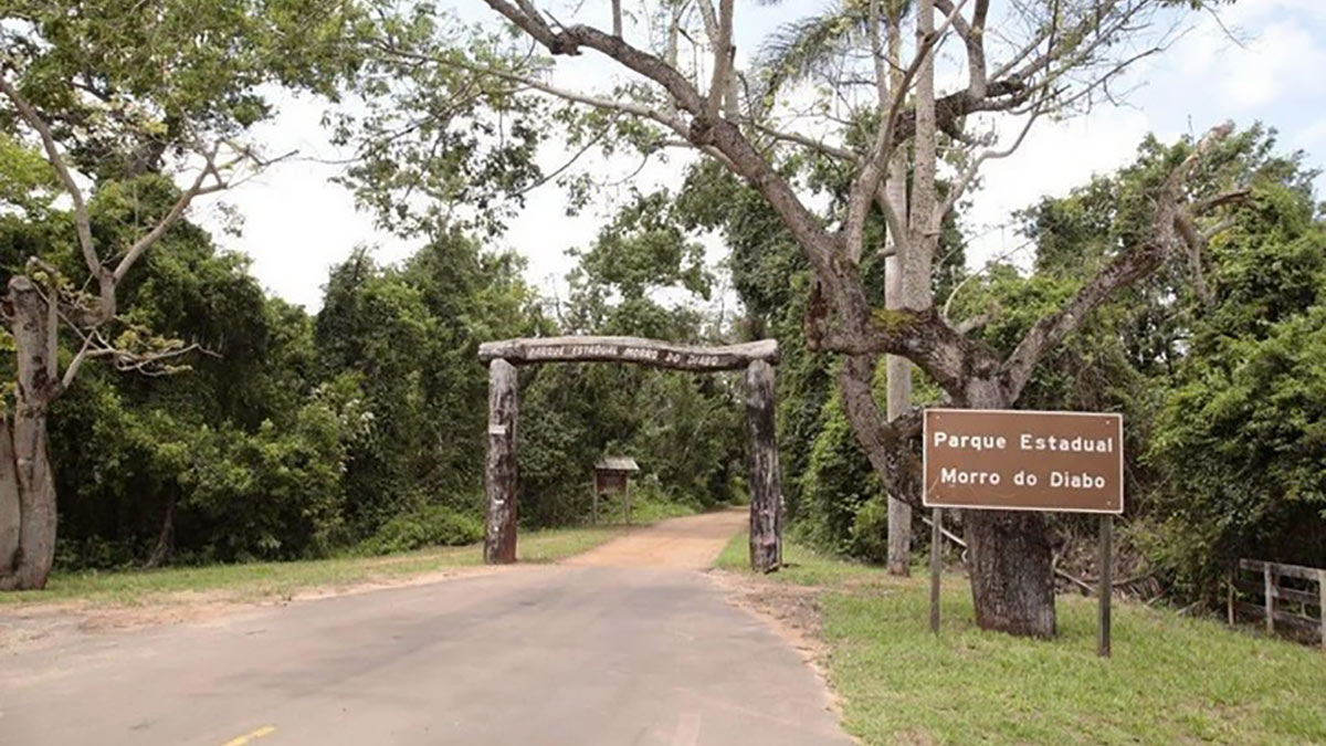 A decisão foi tomada em resposta ao crescente risco de incêndios florestais
