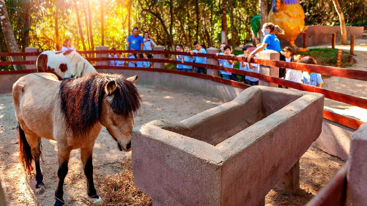 O parque Sitiolândia fica na Serra da Cantareira