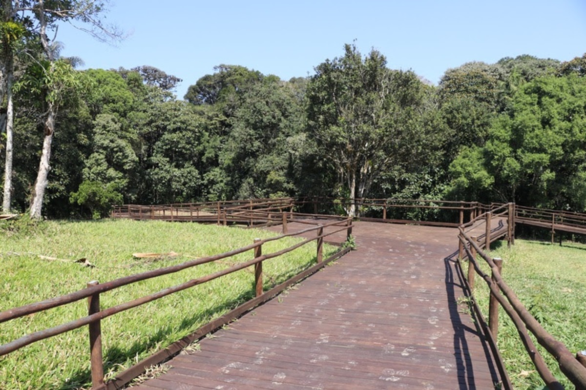 Trilha da Canela tem 2,1 quilômetros de extensão e está em Abaiatinga, Sete Barras