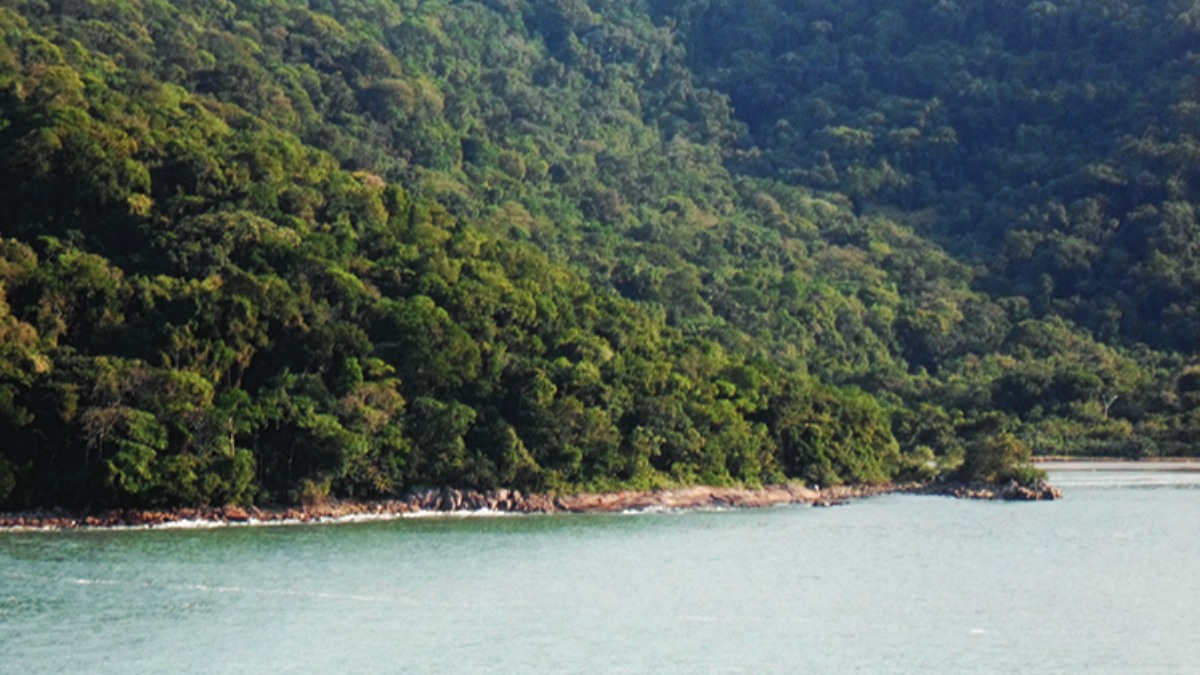 O primeiro e mais famosos deles são todos os achados da arqueologia do Rio Xixová