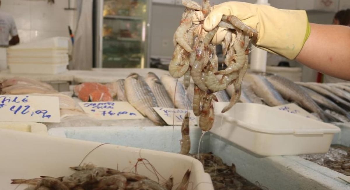 O camarão contém antioxidantes, é benéfico ao coração reduzindo o risco de infarto