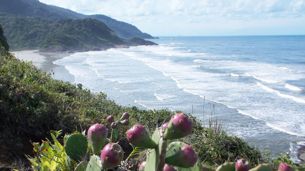A vila de Barra do Una vem sofrendo com o avanço do mar e mudanças no curso do rio, conforme noticiou o Diário do Litoral