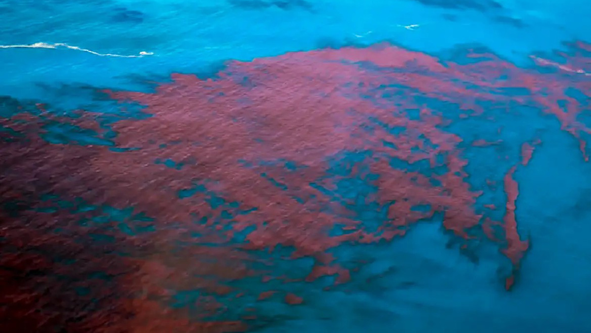 A Maré Vermelha pode causar intoxicação, náuseas, vômitos, diarreias, dores abdominais, tonturas e dores de cabeça