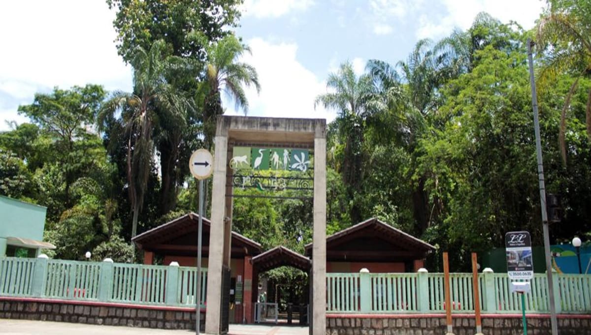 Os animais que foram furtados do Orquidário de Santos sofrem risco de extinção