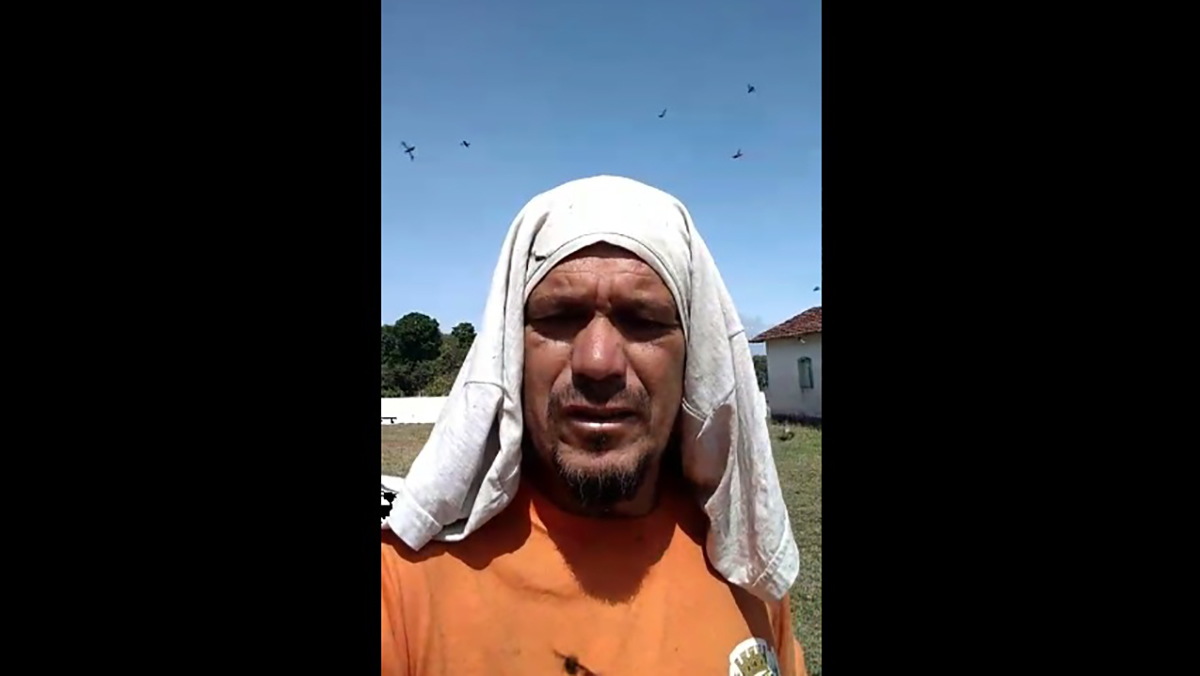 Renato Pereira fazia manutenção no cemitério do Prelado quando foi cercado pelas mutucas