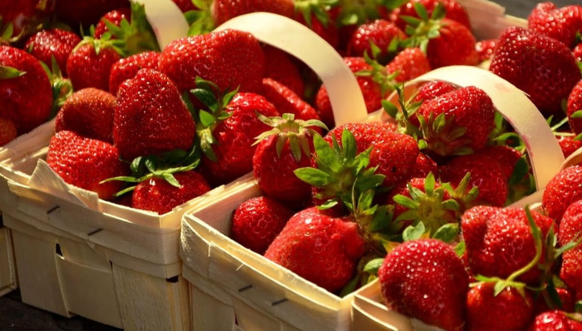 Com entrada gratuita, o evento segue até o domingo (17) e oferecerá diversas opções para os fãs da fruta