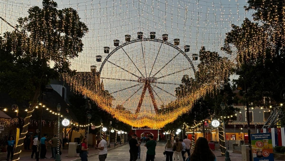 Parque Hopi Hari está completando 25 anos nessa quarta (27)