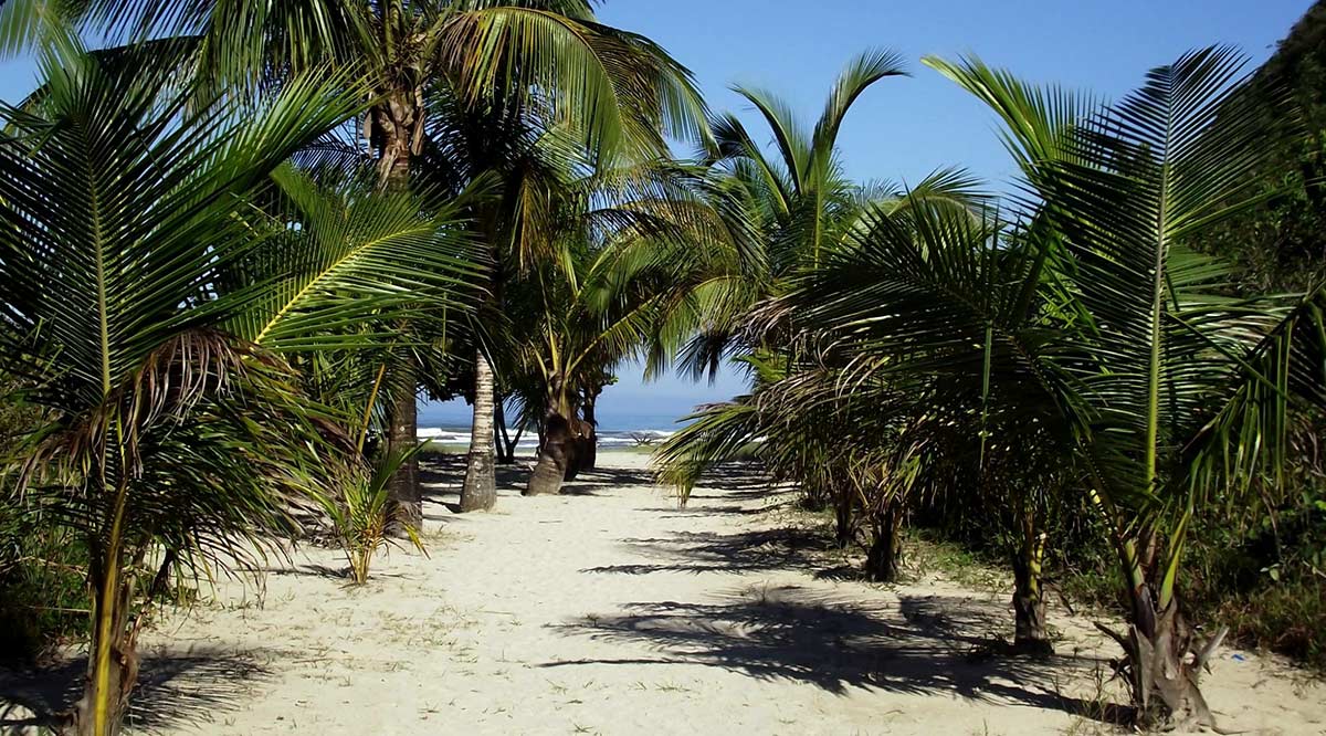 A praia Caramborê, em Peruíbe, é perfeita para quem quer se isolar