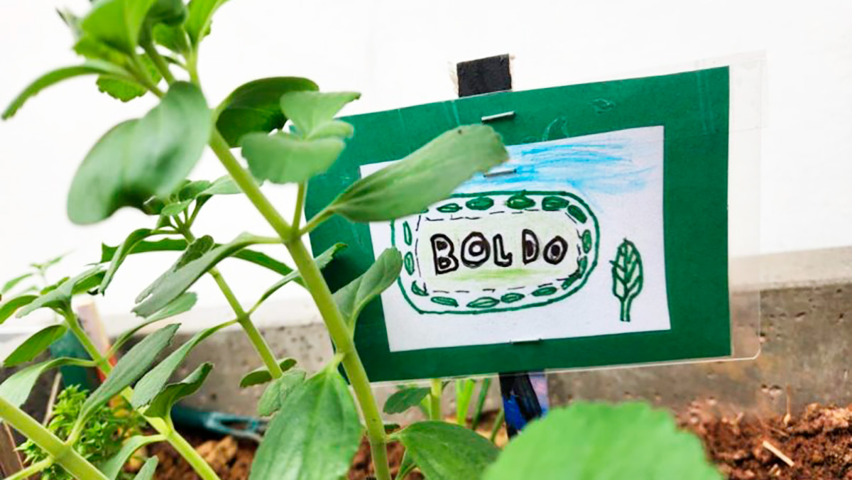 O e-book "Alfabetário de Plantas Medicinais Que folha é essa?" está disponível para acesso e leitura