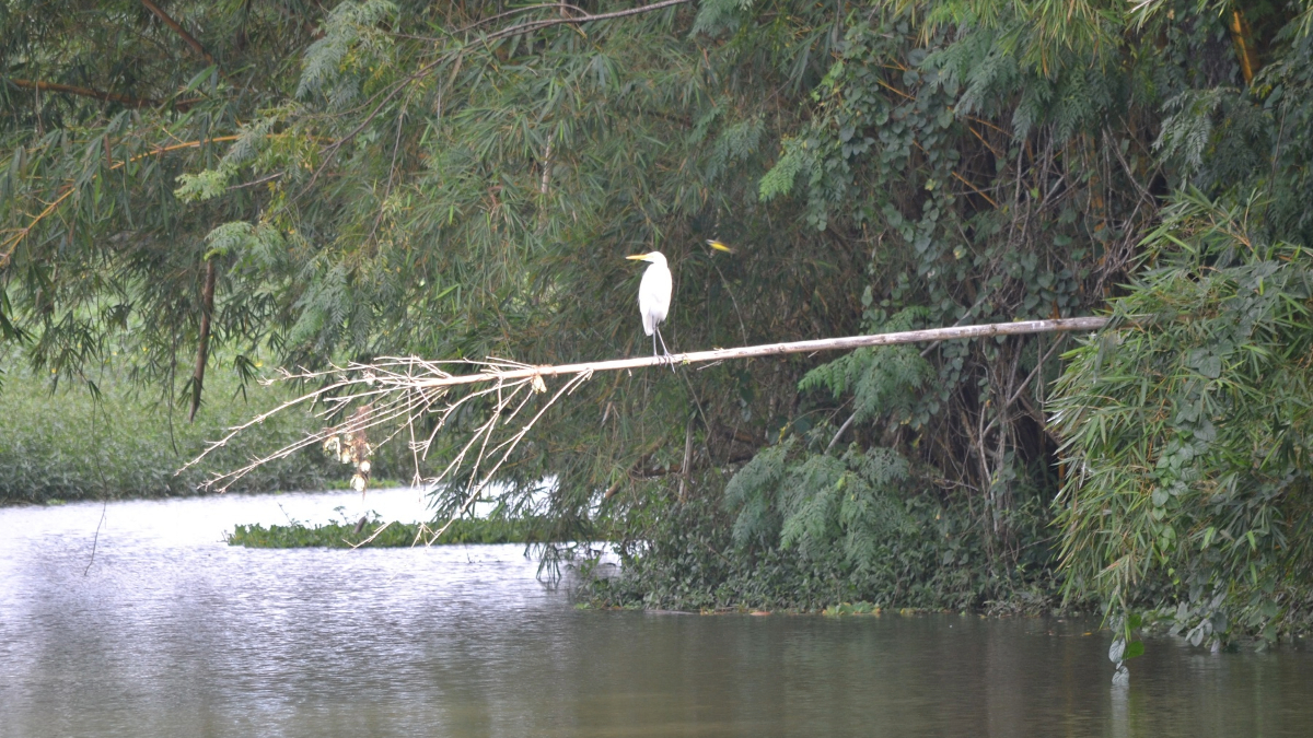 Parque oferece observação de aves, além de várias outras atrações
