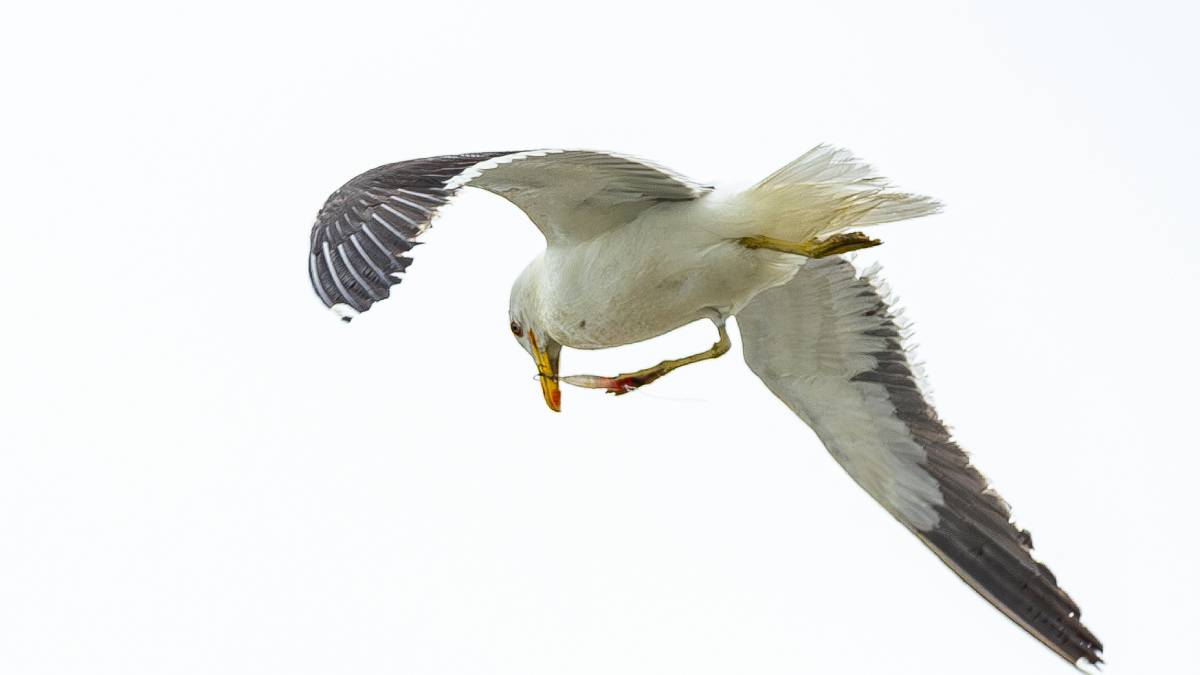 André disse que ficou triste com a cena que registrou