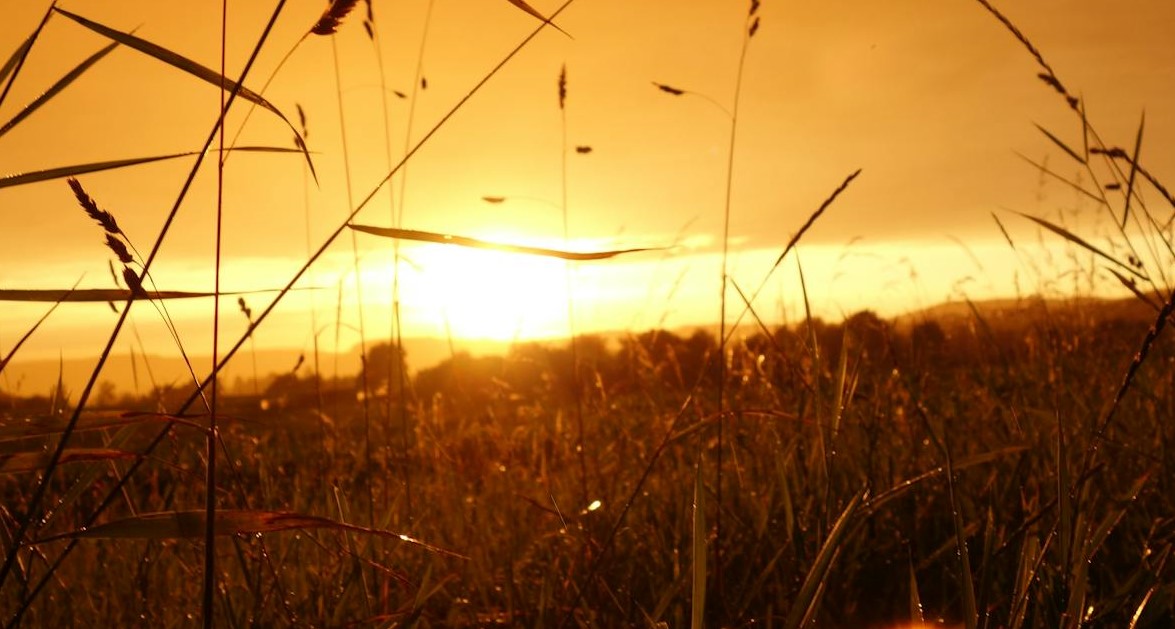 Fim de semana segue abafado no litoral de SP, mas nem tanto como nos últimos dias
