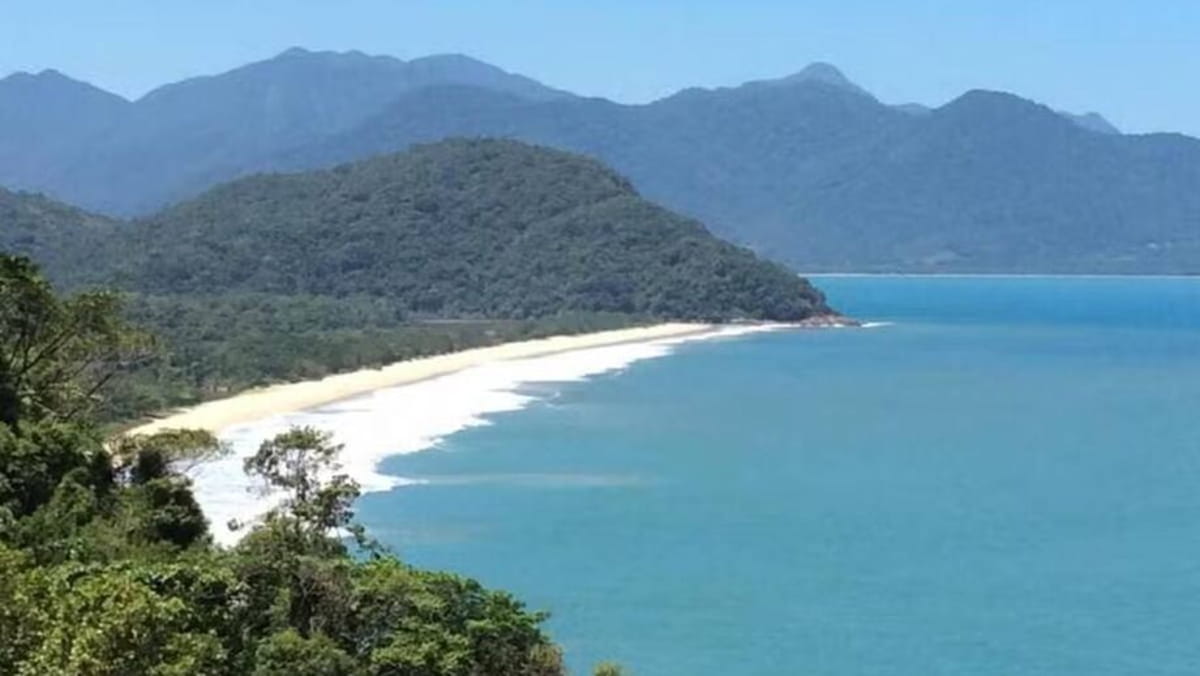 Os compostos encontrados estavam em toda a extensão da costa, indicando uma contaminação extensiva