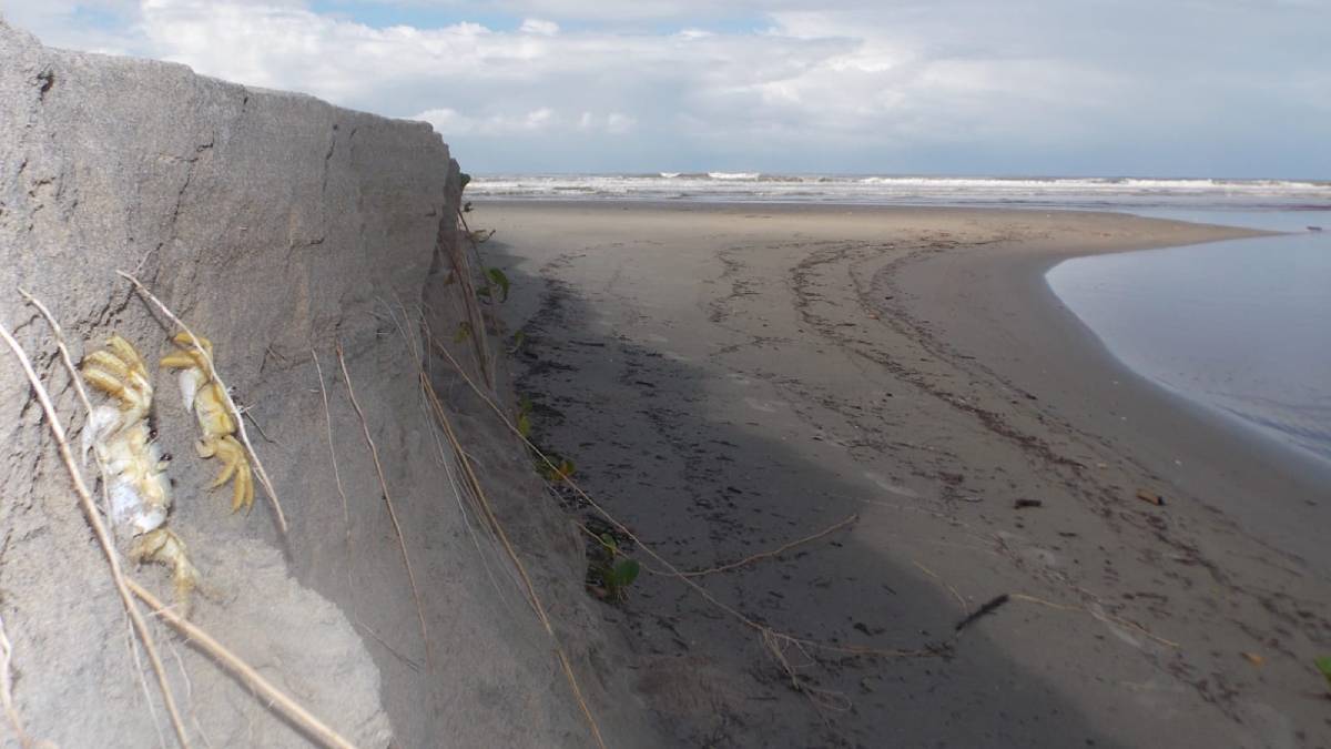 Os grupos "A" e "B", representados por 517 municípios